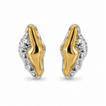 Pendientes BAKARI