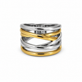 Anillo ARNE