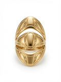Anillo IHSTAR