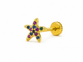 Piercing STARMIE